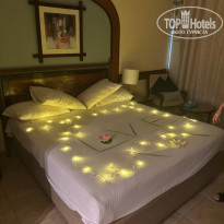 фото из отзыва ID 2675784