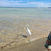 фото из отзыва ID 2674057