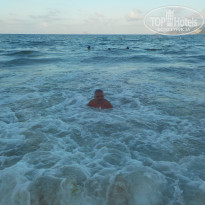 фото из отзыва ID 2675828