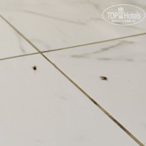 фото из отзыва ID 2675803