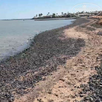 фото из отзыва ID 2675880