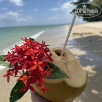 фото из отзыва ID 2675929