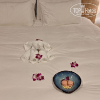 фото из отзыва ID 2675964