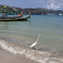 фото из отзыва ID 2675964