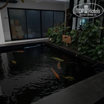 фото из отзыва ID 2675964