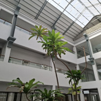 фото из отзыва ID 2675964