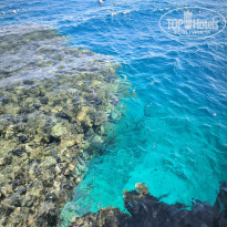 фото из отзыва ID 2676032