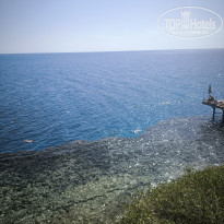 фото из отзыва ID 2676032