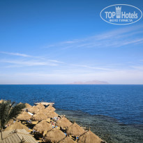 фото из отзыва ID 2676032