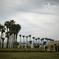 фото из отзыва ID 2676032