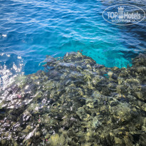 фото из отзыва ID 2676032