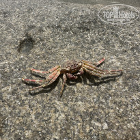 фото из отзыва ID 2676083