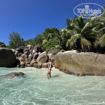 фото из отзыва ID 2676083