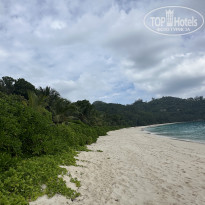 фото из отзыва ID 2676083