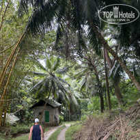 фото из отзыва ID 2676083