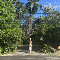 фото из отзыва ID 2676083