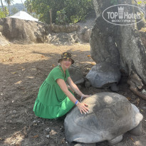 фото из отзыва ID 2676083