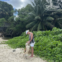 фото из отзыва ID 2676083