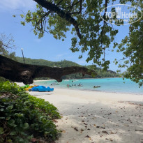 фото из отзыва ID 2676083