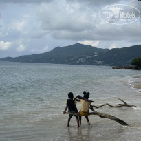 фото из отзыва ID 2676083