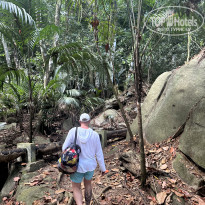 фото из отзыва ID 2676083