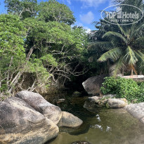 фото из отзыва ID 2676083