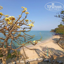 фото из отзыва ID 2676101