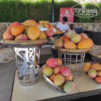 фото из отзыва ID 2676115