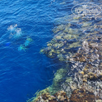 фото из отзыва ID 2676240