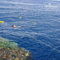 фото из отзыва ID 2676240