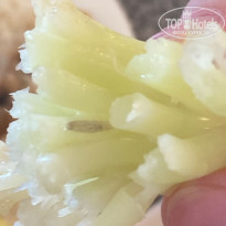 фото из отзыва ID 2676234