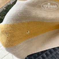 фото из отзыва ID 2676234