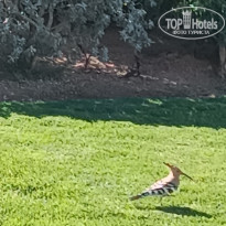 фото из отзыва ID 2676250