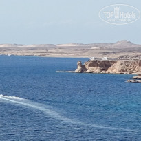 фото из отзыва ID 2676250