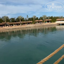 фото из отзыва ID 2676300