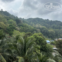 фото из отзыва ID 2676162