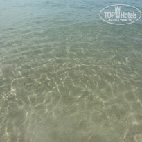 фото из отзыва ID 2676162