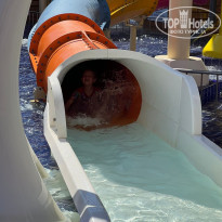 фото из отзыва ID 2676349