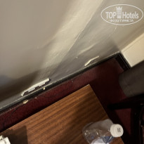 фото из отзыва ID 2676374