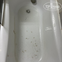 фото из отзыва ID 2676374