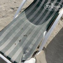 фото из отзыва ID 2676374