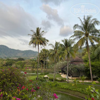 фото из отзыва ID 2676382