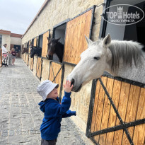 фото из отзыва ID 2676409