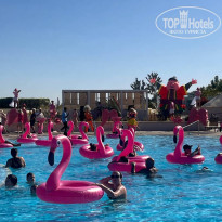 фото из отзыва ID 2676409