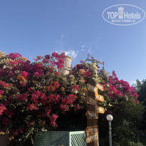 фото из отзыва ID 2676434