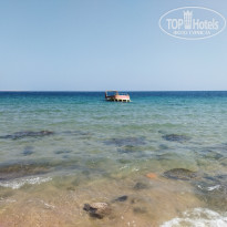 фото из отзыва ID 2676548