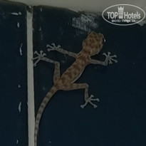 фото из отзыва ID 2676556