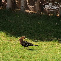 фото из отзыва ID 2676556