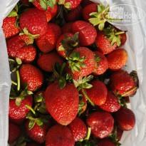 фото из отзыва ID 2676567