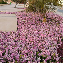 фото из отзыва ID 2676605